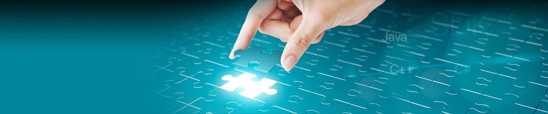 solution banner