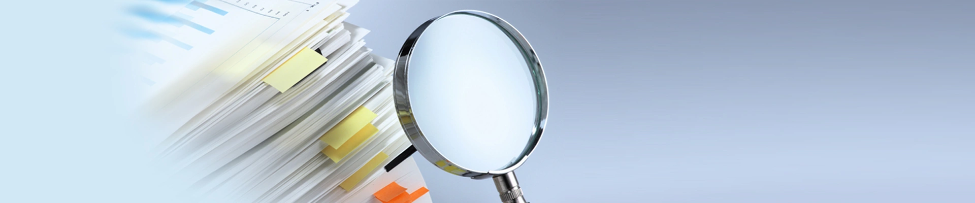 search banner